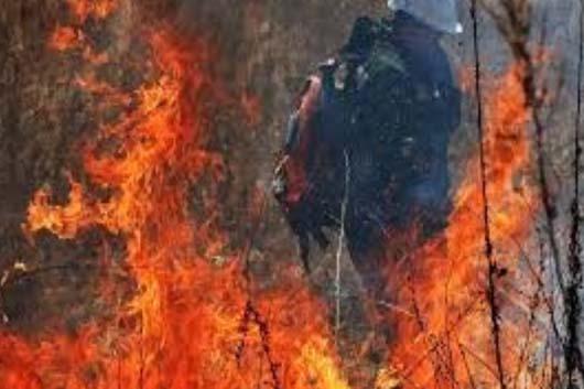 incendios forestales Rusia