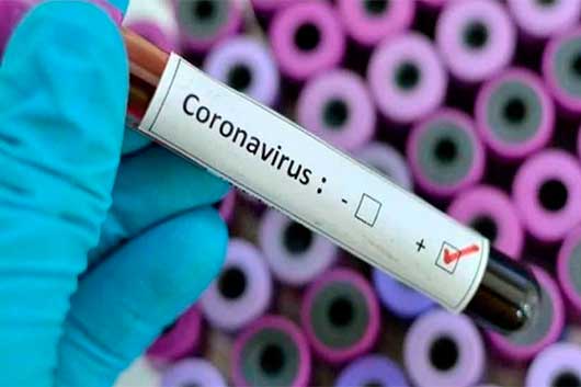 OMS coronavirus