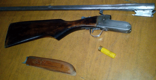 pistola1