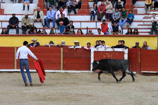 ITDT tienta deHaro 001.jpg 