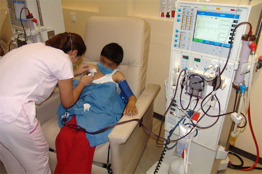 SESA RENAL
