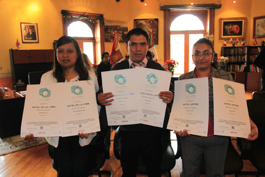SETYDE tlx 01 distintivos 
