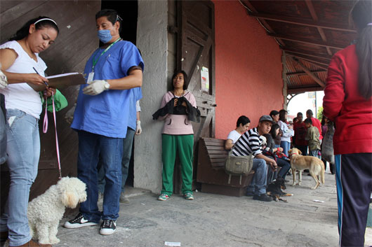 esterilizacion chiau