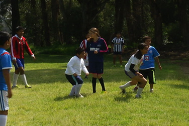 Curso-verano-lobos-Ok
