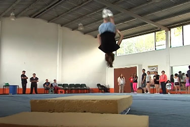 gimnasia web