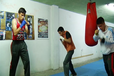 sandro box ok