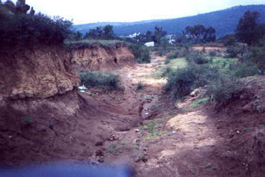 barrancas huamantla