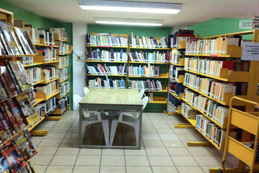 biblioteca spm