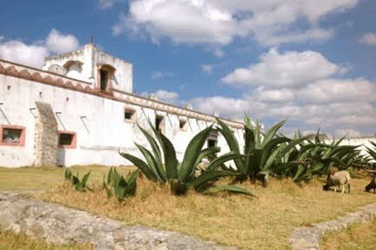 HACIENDA TECOAC