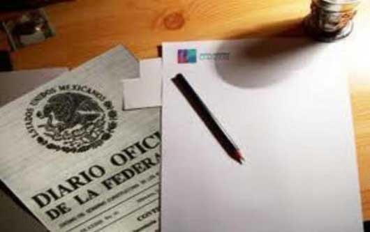 Reglamento Del Servicio De Protección Federal www.sndigital.mx