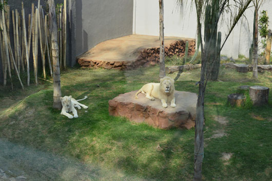 CGE ZOOLÓGICO 001 ALL