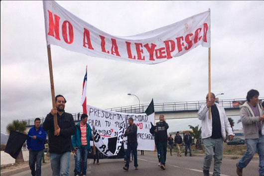 ley de pesca chile.jpg 1718483346