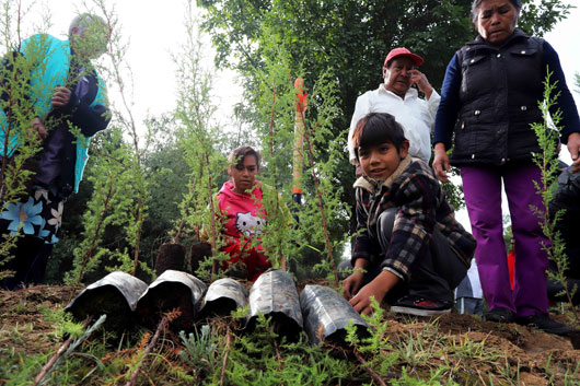 180805 CGE PROGRAMA DE REFORESTACION 001