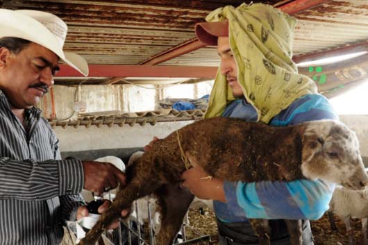 emprende agricultura acciones