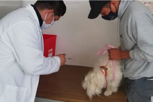 ATENCION INTEGRAL MODULO CANINO