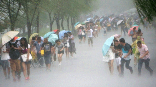 tifon taiwan