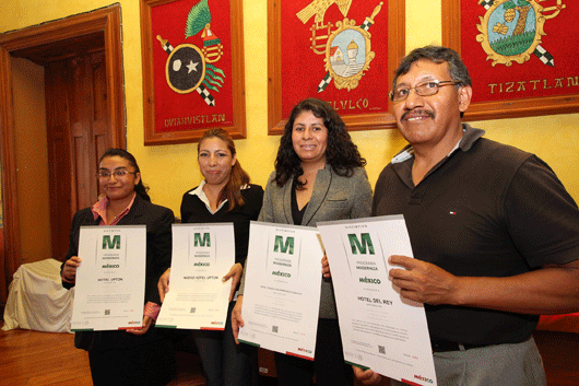 SETYDE tlx 01 distintivos H