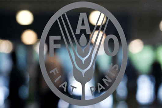 fao1.jpg 1718483346