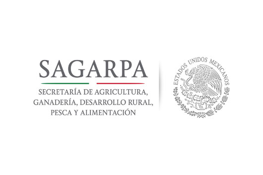  logotipos sagarpa bco h