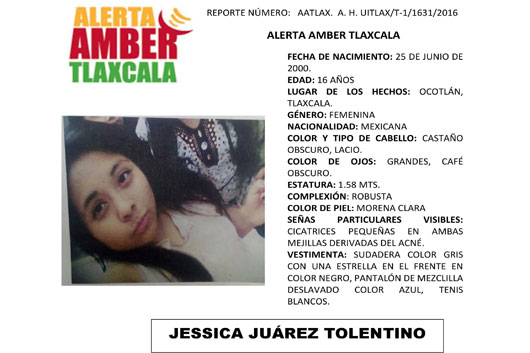 tolentino amber