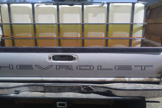 34017318 1809893839070194 2248207086427045888 n