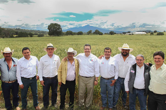 090918 MM TERRENATE 1 1