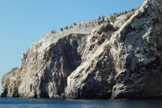 Biósfera Isla San Pedro Mártir, en lista internacional de áreas protegidas