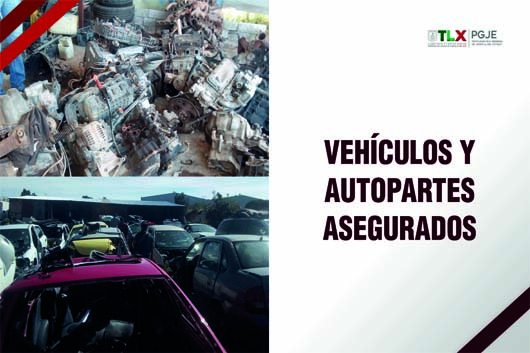 PGJE VEHICULOS Y AUTOPARTES