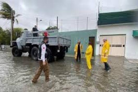 yacantan alerta