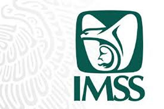 LOGO IMSS