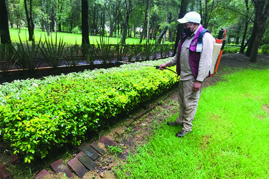 CGE JARDINBOTANICO