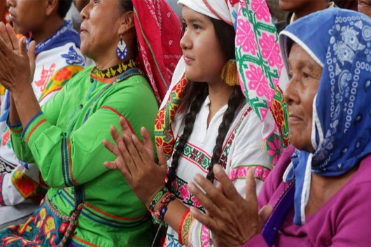 rfc indigenas