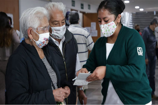 imss consultas