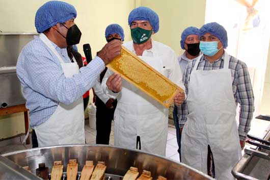sefoa apicultores