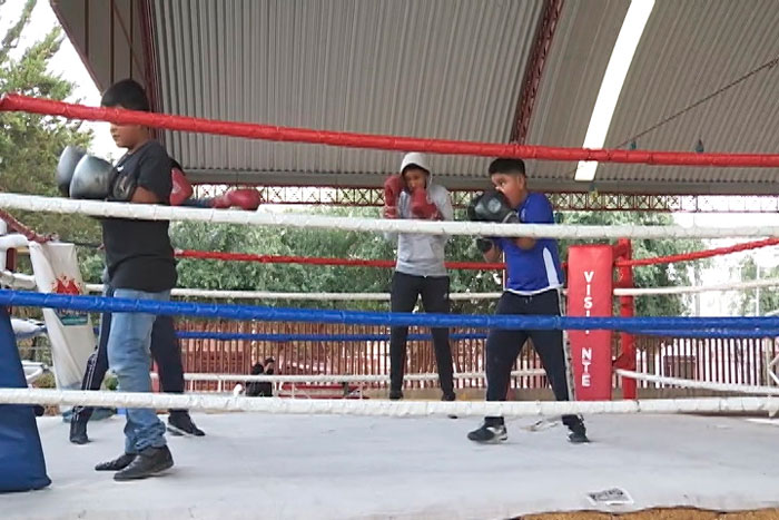 Se reactiva el boxeo en Apizaco