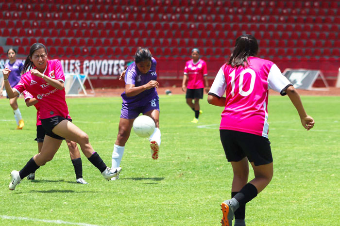 Las Coyotas quieren metal áureo en Juegos Nacionales 