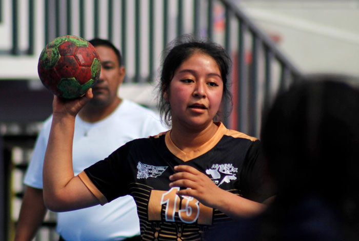 Busca asociación  que el balonmano se practique en más escuelas