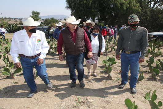 Impulsa SIA el cultivo de nopal por su potencial productivo