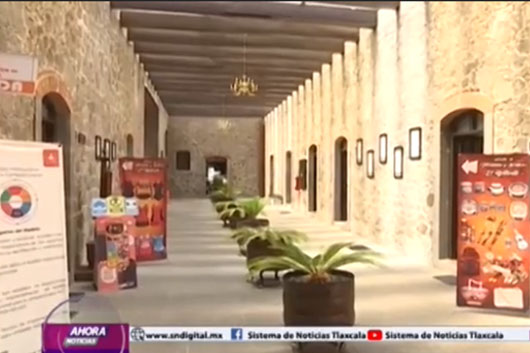 Los Centros Vacacionales del IMSS están listos para recibir visitantes 