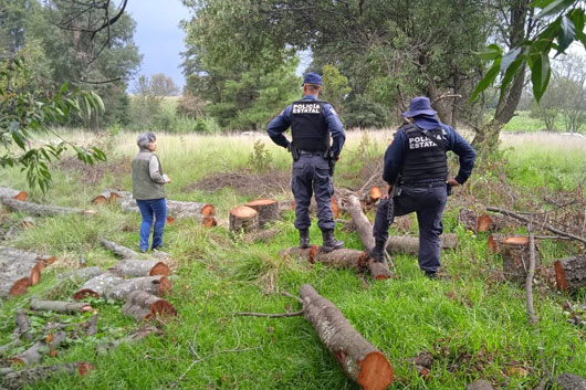 SSC y Profepa realizan operativo en la Malinche