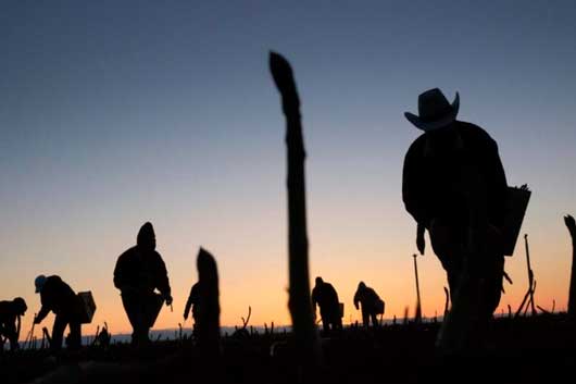 migrantes en EUA