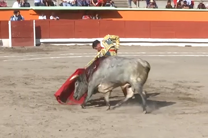 El  ITDT plantea duplicar el número de eventos taurinos que se han registrado en  la entidad