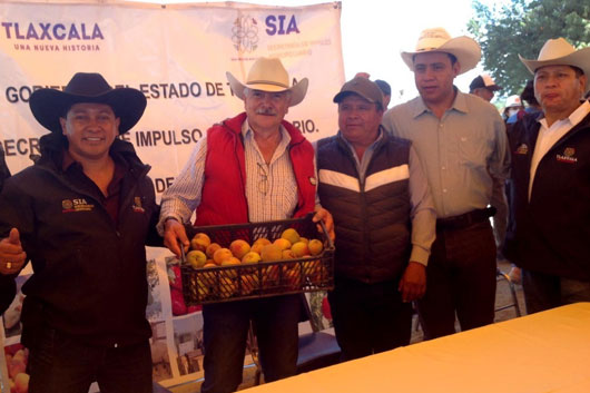 Atiende SIA a 199 productores de durazno en 16 municipios de la entidad