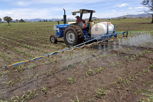 Impulsa SIA plan de manejo orgánico en 6 mil hectáreas del campo tlaxcalteca