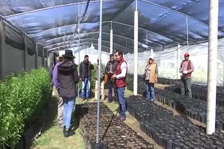 La Secretaría del Bienestar constató los avances del programa “Sembrando Vida” en Xaloztoc 