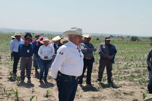 Cuenta SIA con 15 MDP para atender siniestros agroclimáticos