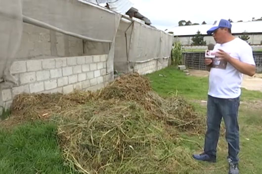 Le presentamos la última parte de este reportaje de la Granja Ebenezar 