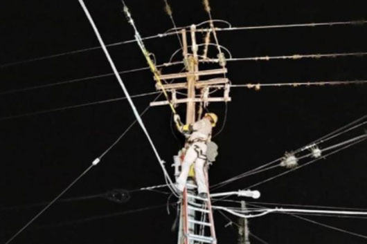 CFE restablece electricidad en estados afectados por frente frío 19