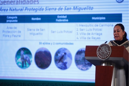 Oficial: desaparecen los institutos Nacional de Ecología y del Agua 