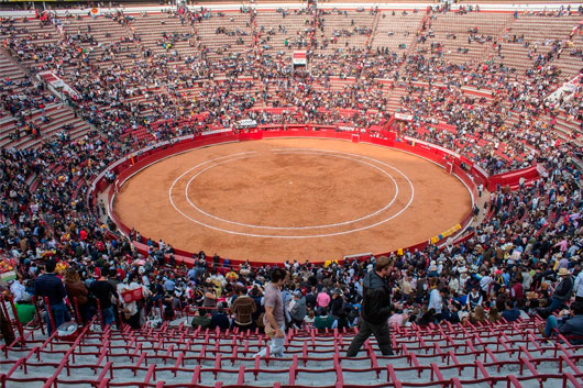 Frena juez corridas de toros en la Alcaldía Benito Juárez